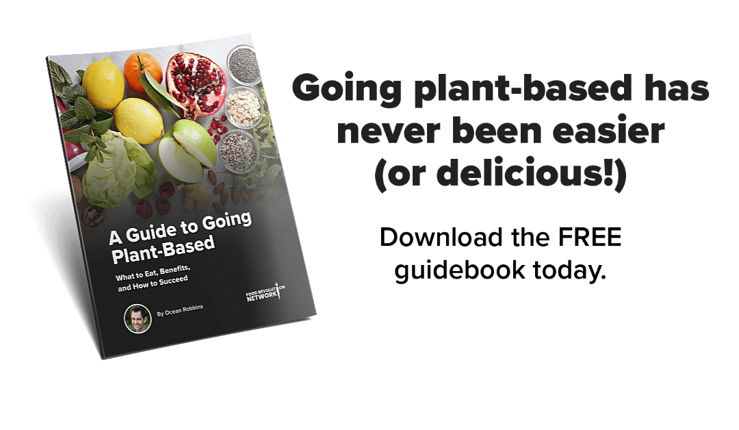 Going plant-based can be great — if you do it right