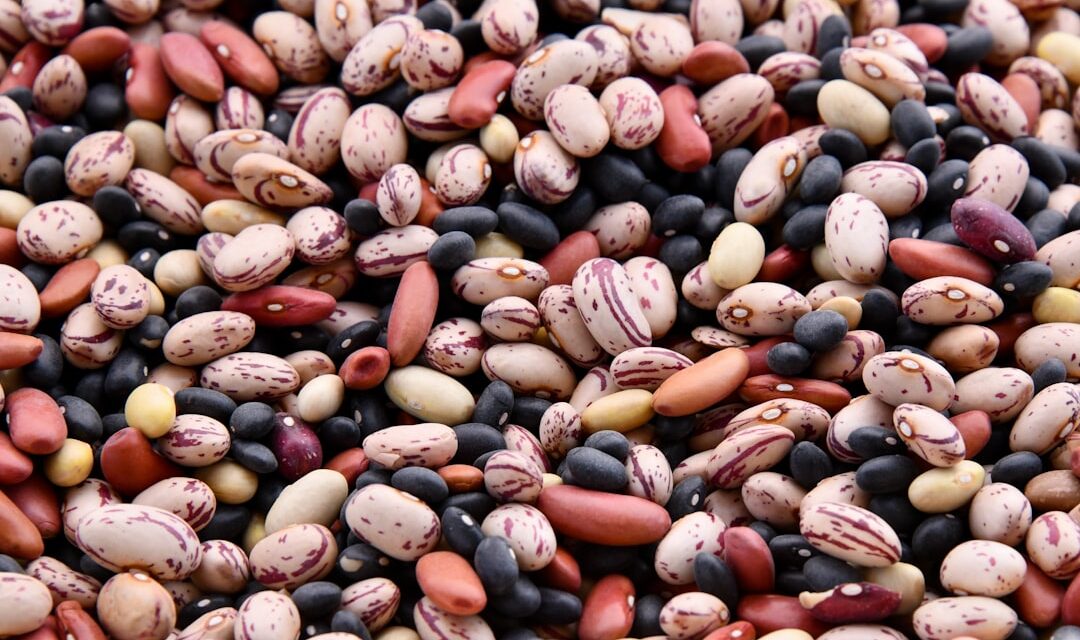 The Power of Beans: Enhancing Your Diabetic Diet with Fiber, Protein, and Low GI