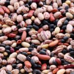 The Power of Beans: Enhancing Your Diabetic Diet with Fiber, Protein, and Low GI