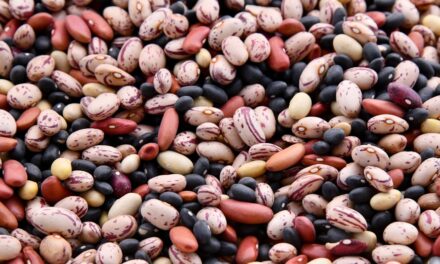 The Power of Beans: Enhancing Your Diabetic Diet with Fiber, Protein, and Low GI