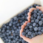 Make Blueberries Your Tasty Ally in Diabetes Management