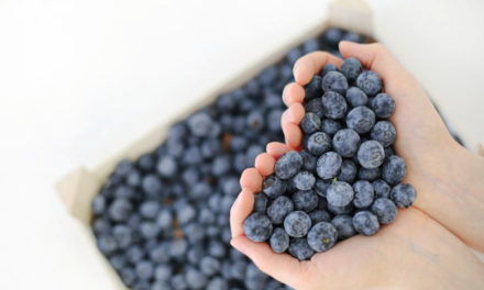 Make Blueberries Your Tasty Ally in Diabetes Management