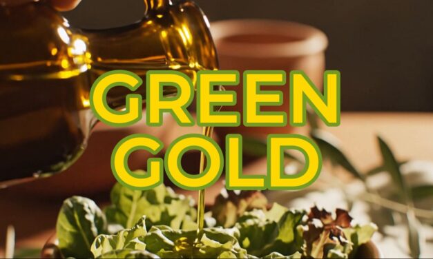 Olive Oil and Blood Sugar: What Green Gold Really Does to Your Post-Meal Glucose